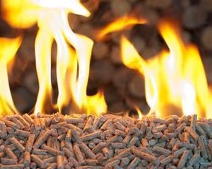 wood-pellet-coal-300x239.jpg