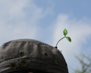 2016.4.17 지구의 날 기념 “지구를 위한 나무”, 대학로 마로니에공원 Ⓒ환경운동연합