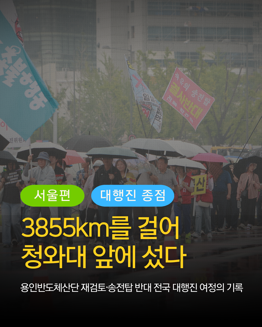 bf10a0e8878a0.png
