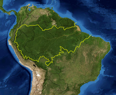 879187134_1fab0078_Amazon_rainforest_wikipedia.jpg