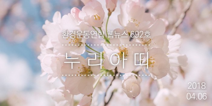 180406_nuri1.jpg
