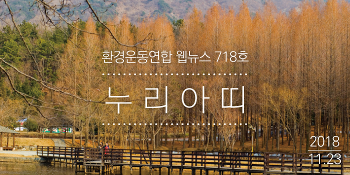 181123_nuri.jpg