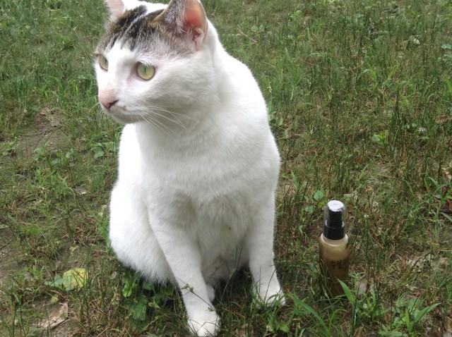 파일 2016. 7. 7. 오전 9 50 03