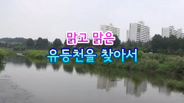 맑고 맑은 유등천을 찾아서