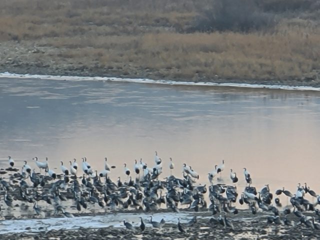 19209_1640177232.jpg