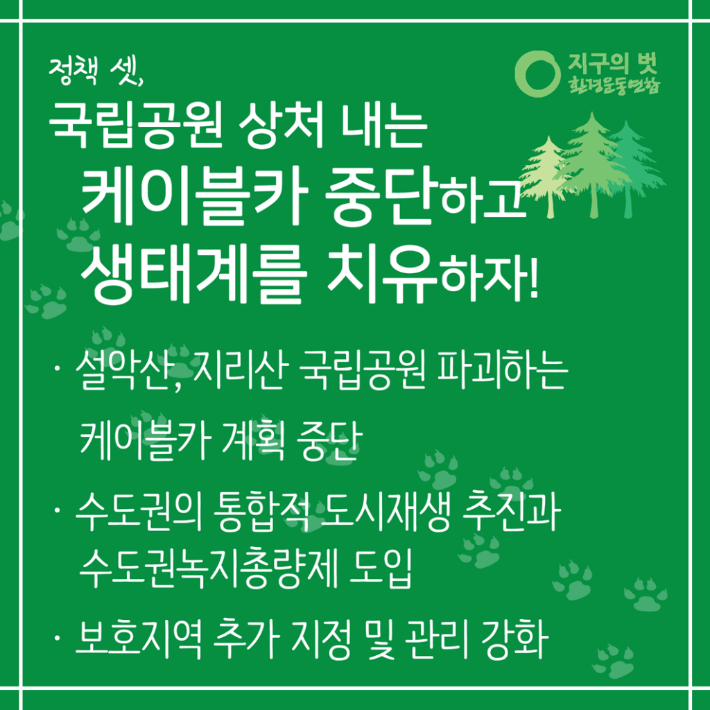 policy3