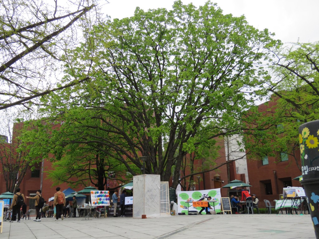 2016.4.17 지구의 날 기념 “지구를 위한 나무”, 대학로 마로니에공원 Ⓒ환경운동연합