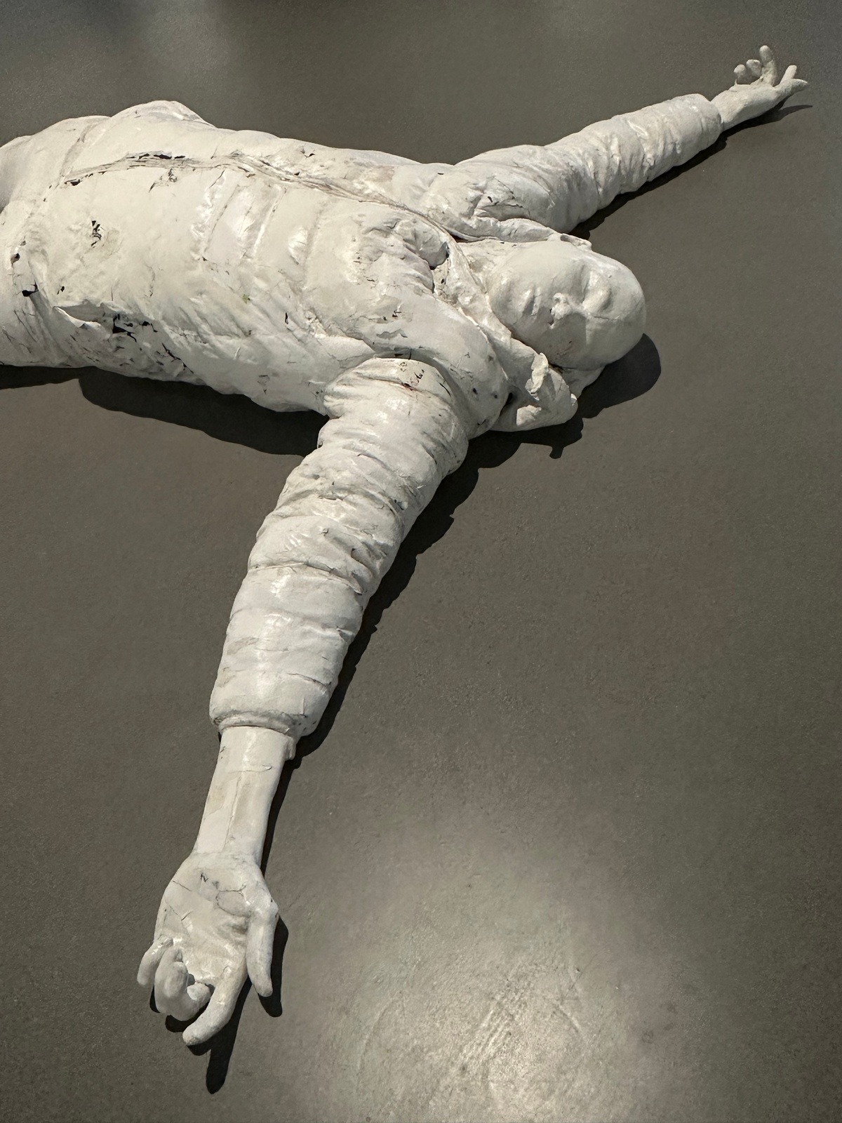a85ed003bc595.jpg