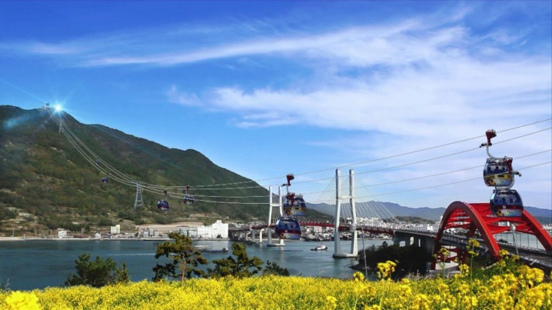 06e3aa548f72a.jpg