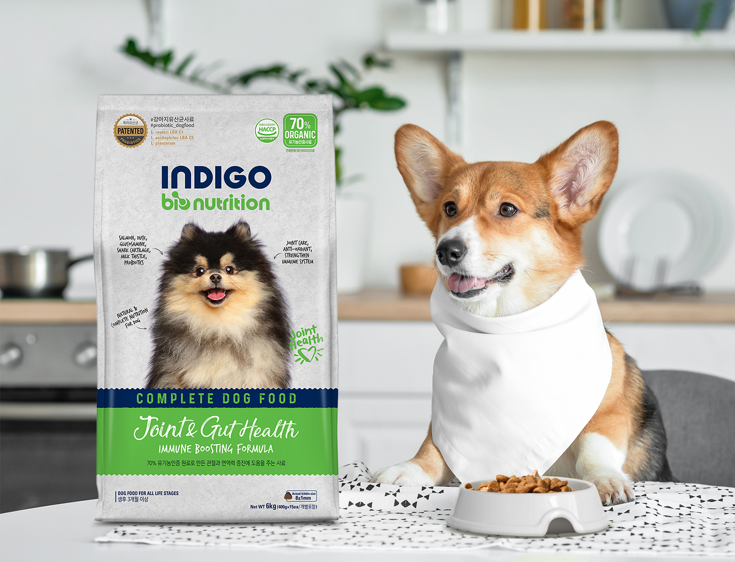 Probiotic dog clearance food