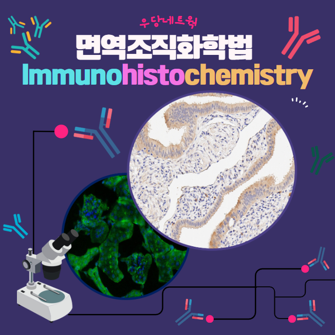 Ihc Immunohistochemistry Blog