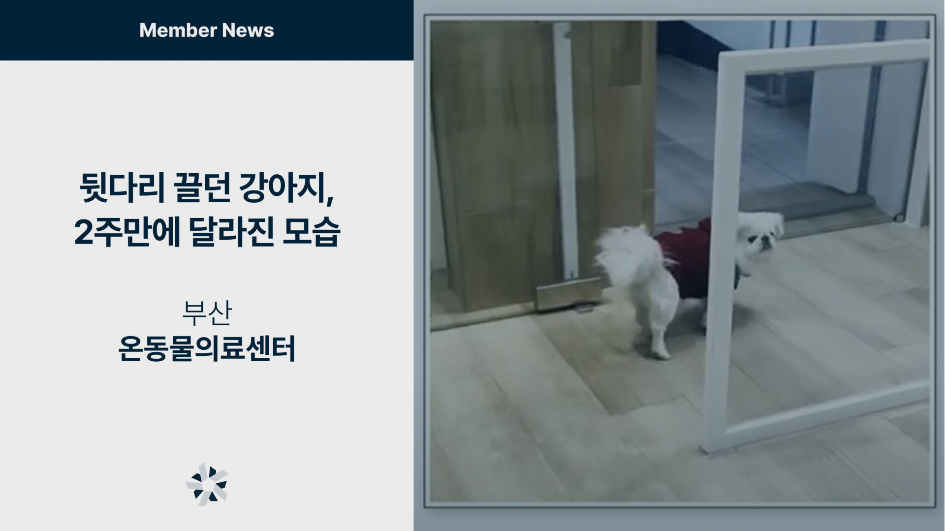 회원병원 소식.png
