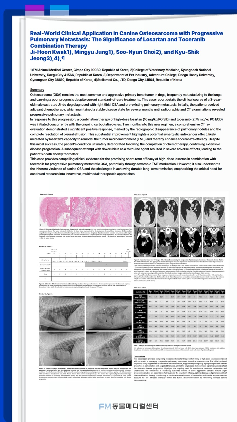 FM동물메디컬센터, FASAVA서 임상 연구 증례 7건 발표 : 벳아너스 브랜드스토리