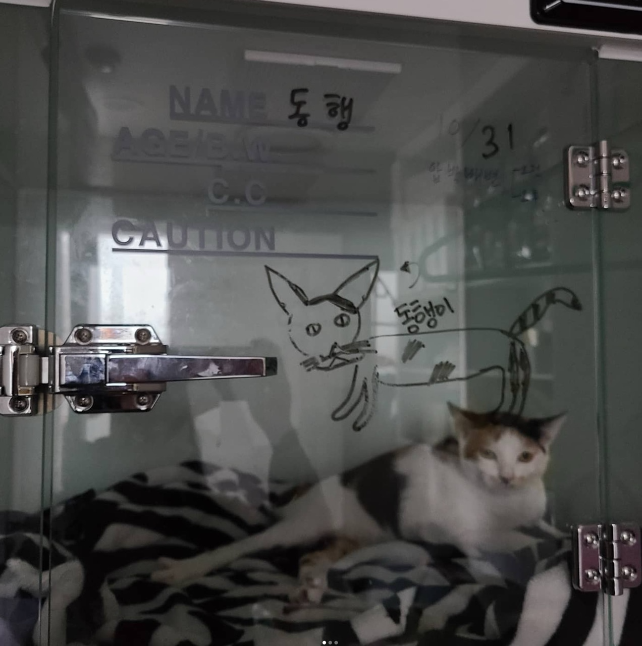 a38b5da32a83a.png