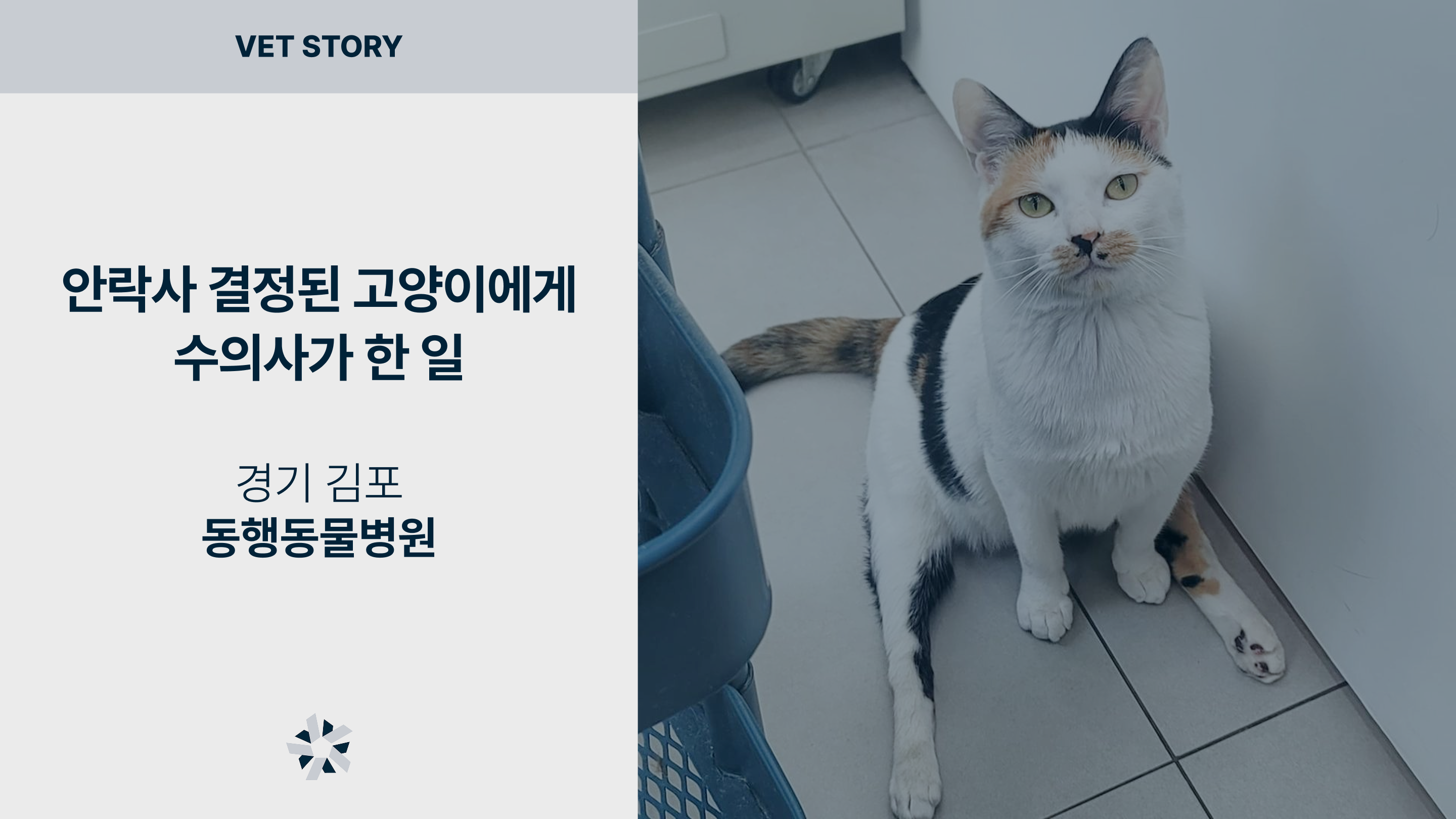 f22d1f7309134.png