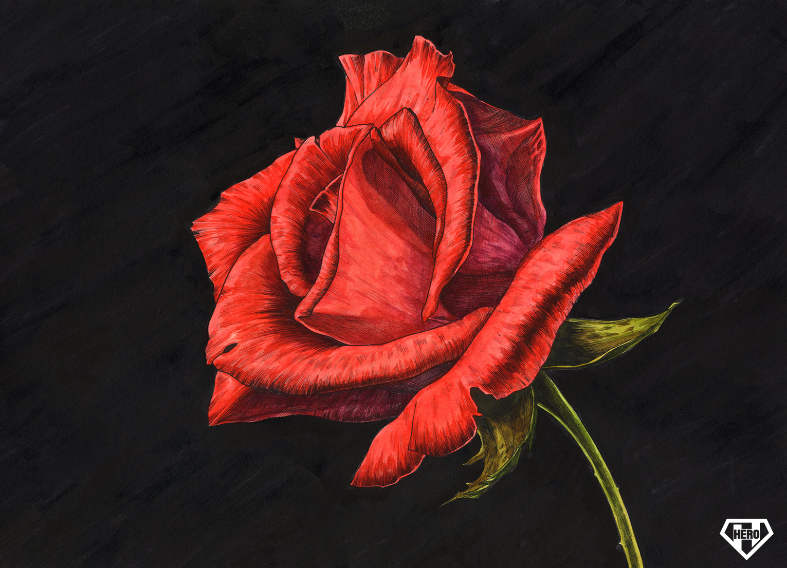 204ae981d9227.png