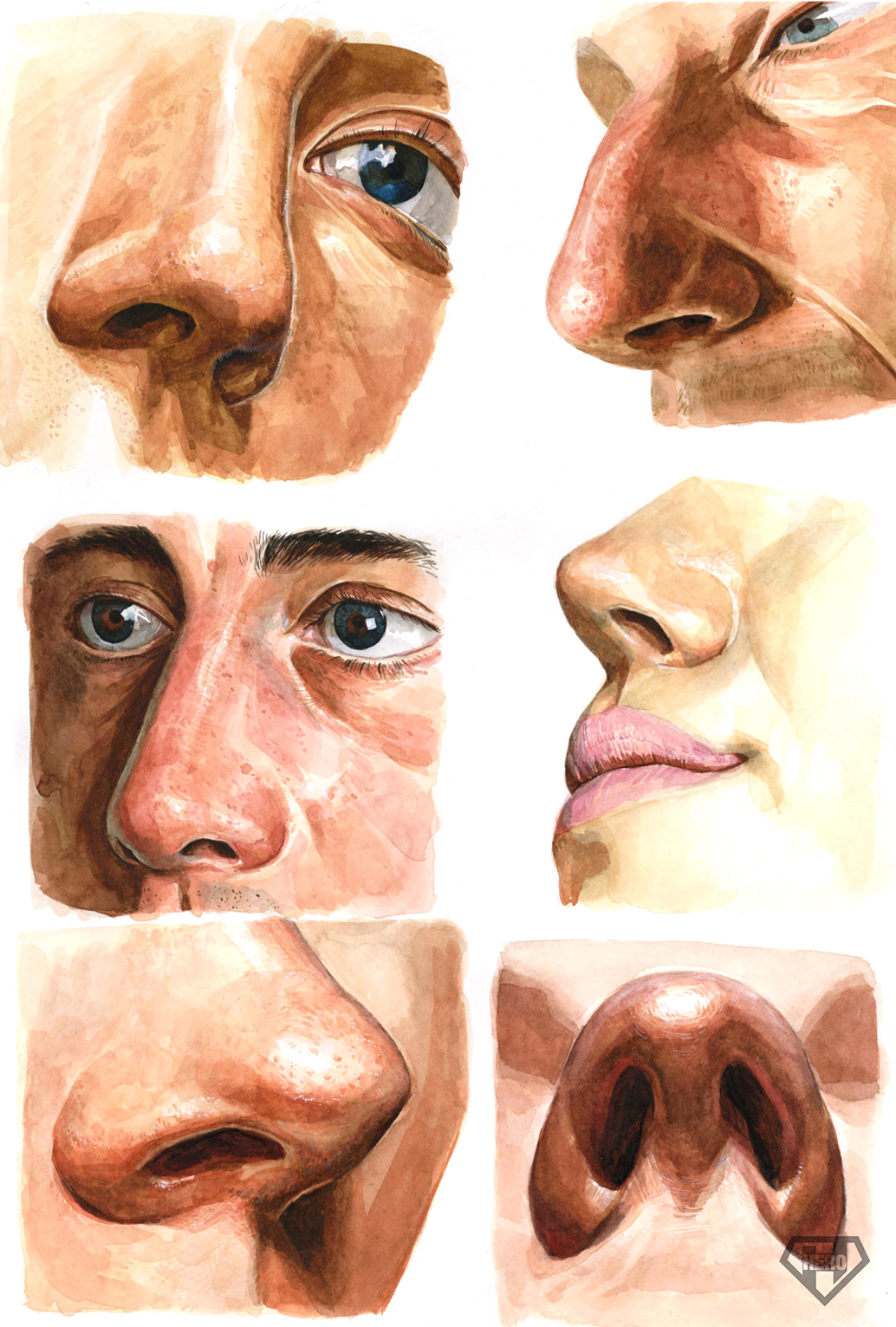 d84161912e263.png