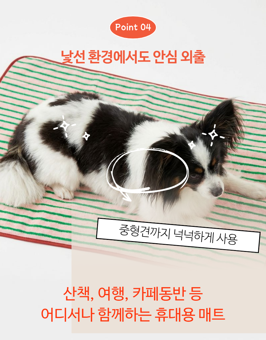 (스톤퍼플) 서핑독 산책 매트 - OUTDOOR SEMPER MAT / M size