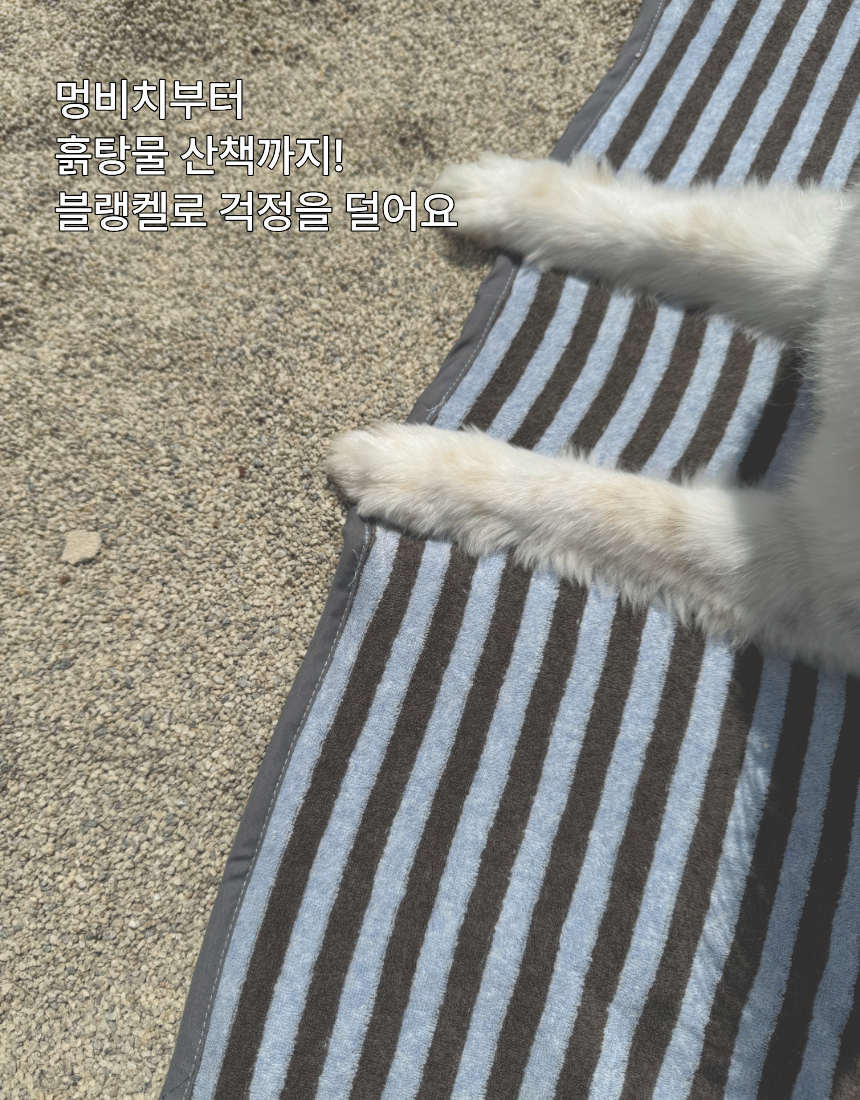 블랭켈 - 사계절 펫 담요 겸 타올