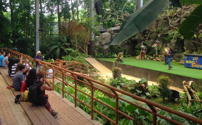 ภาพการแสดงนกกลางแจ้งที่สถานที่ท่องเที่ยวยอดนิยมในมะนิลา ฟิลิปปินส์ และกิจกรรมวันหยุดสุดสัปดาห์ระหว่างเรียนต่อ