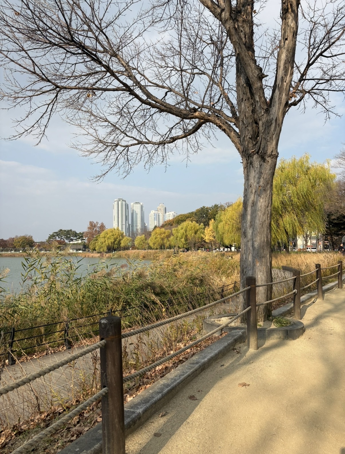 05117d5b48256.jpg
