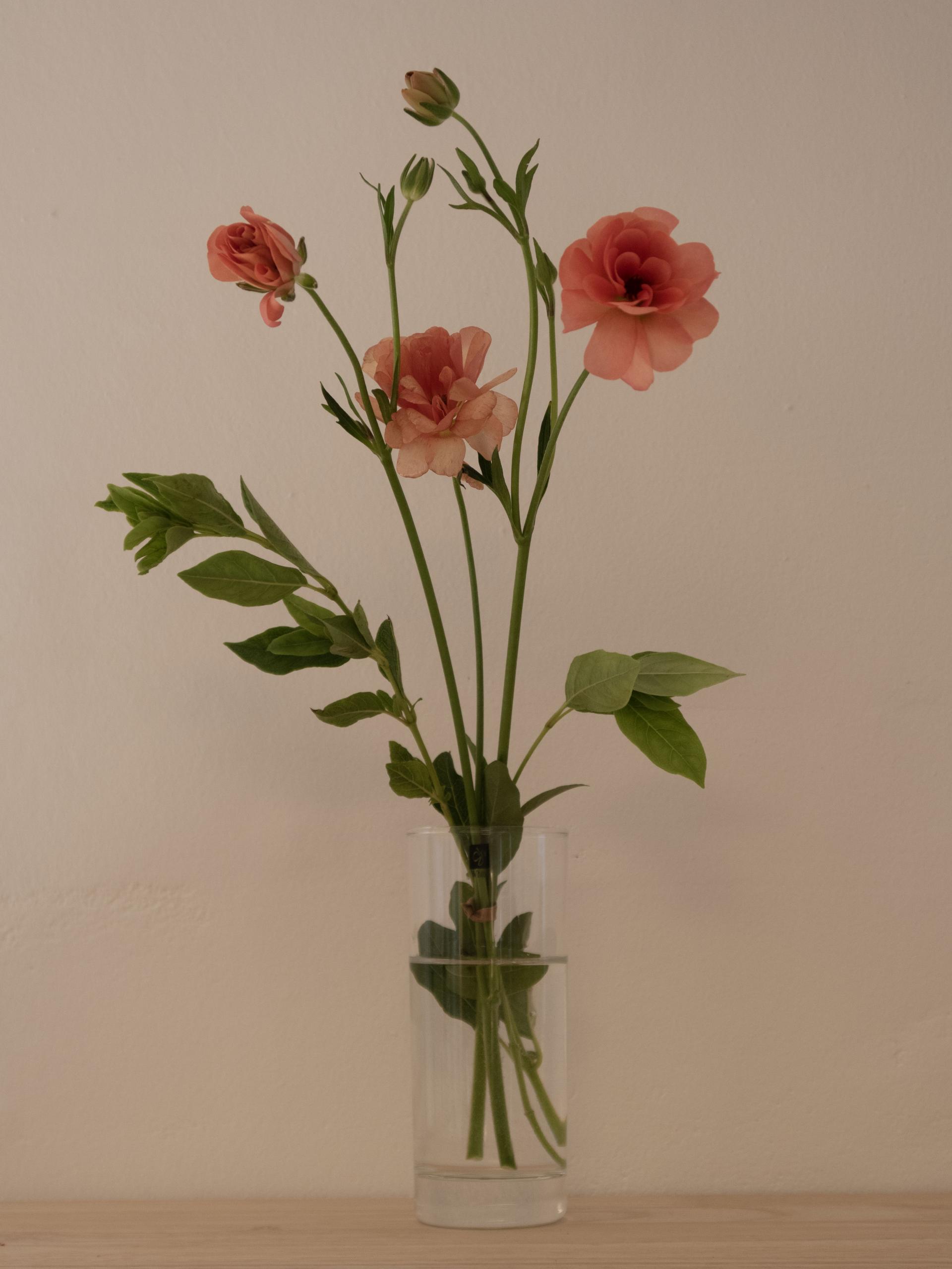 05428856c647a.jpg