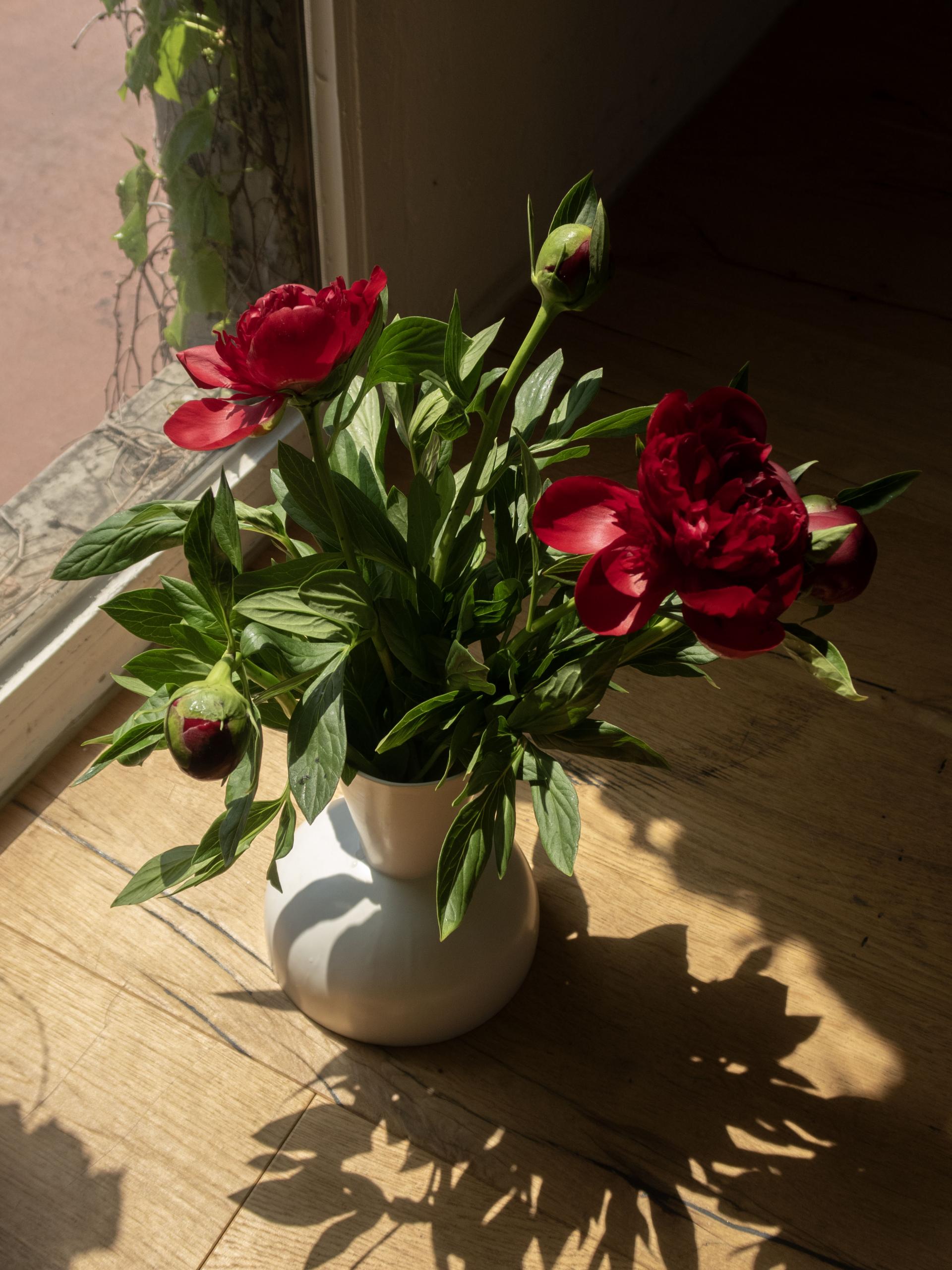 1dd36dbca85f1.jpg