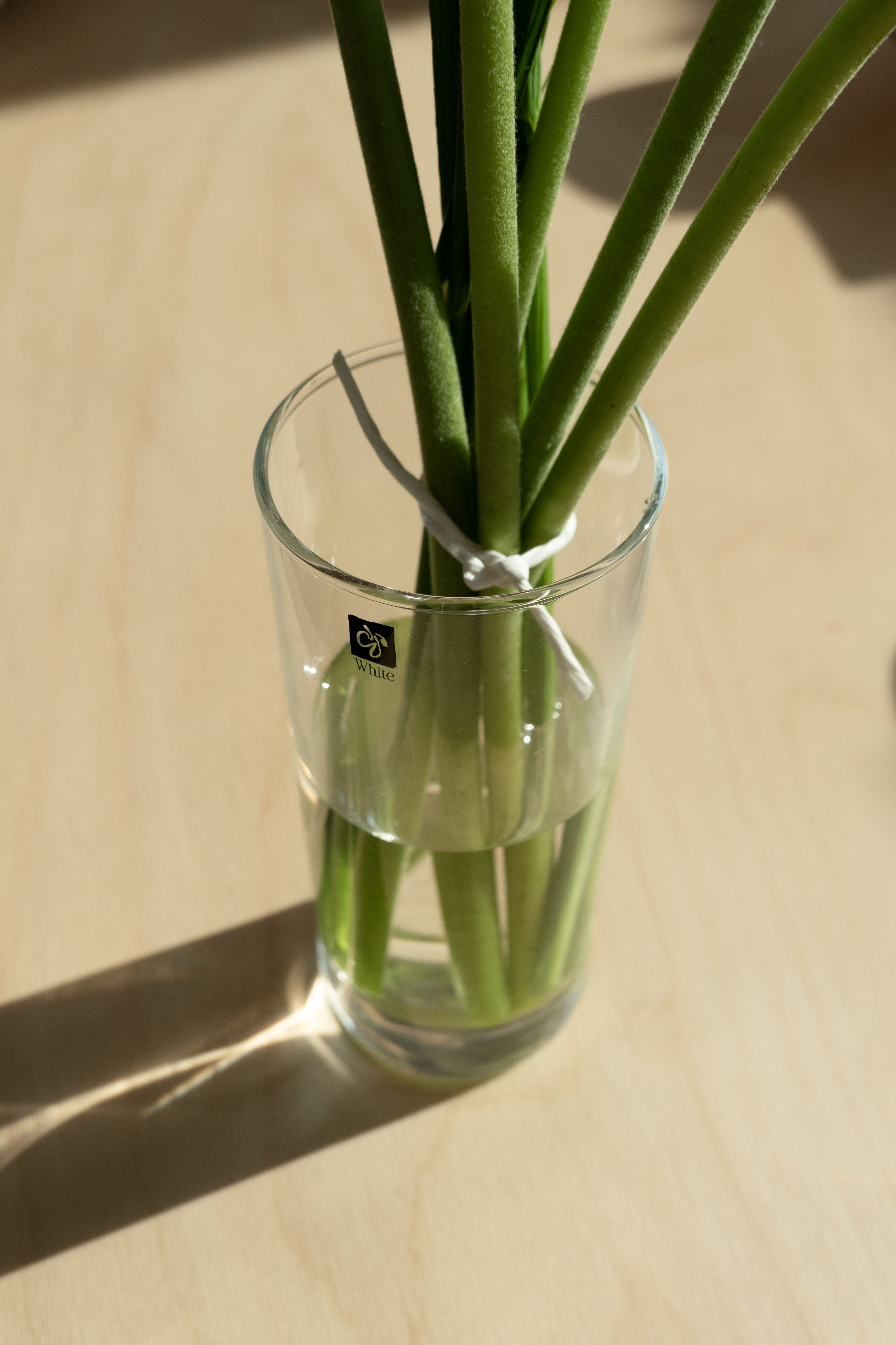690a81932d5a1.jpg