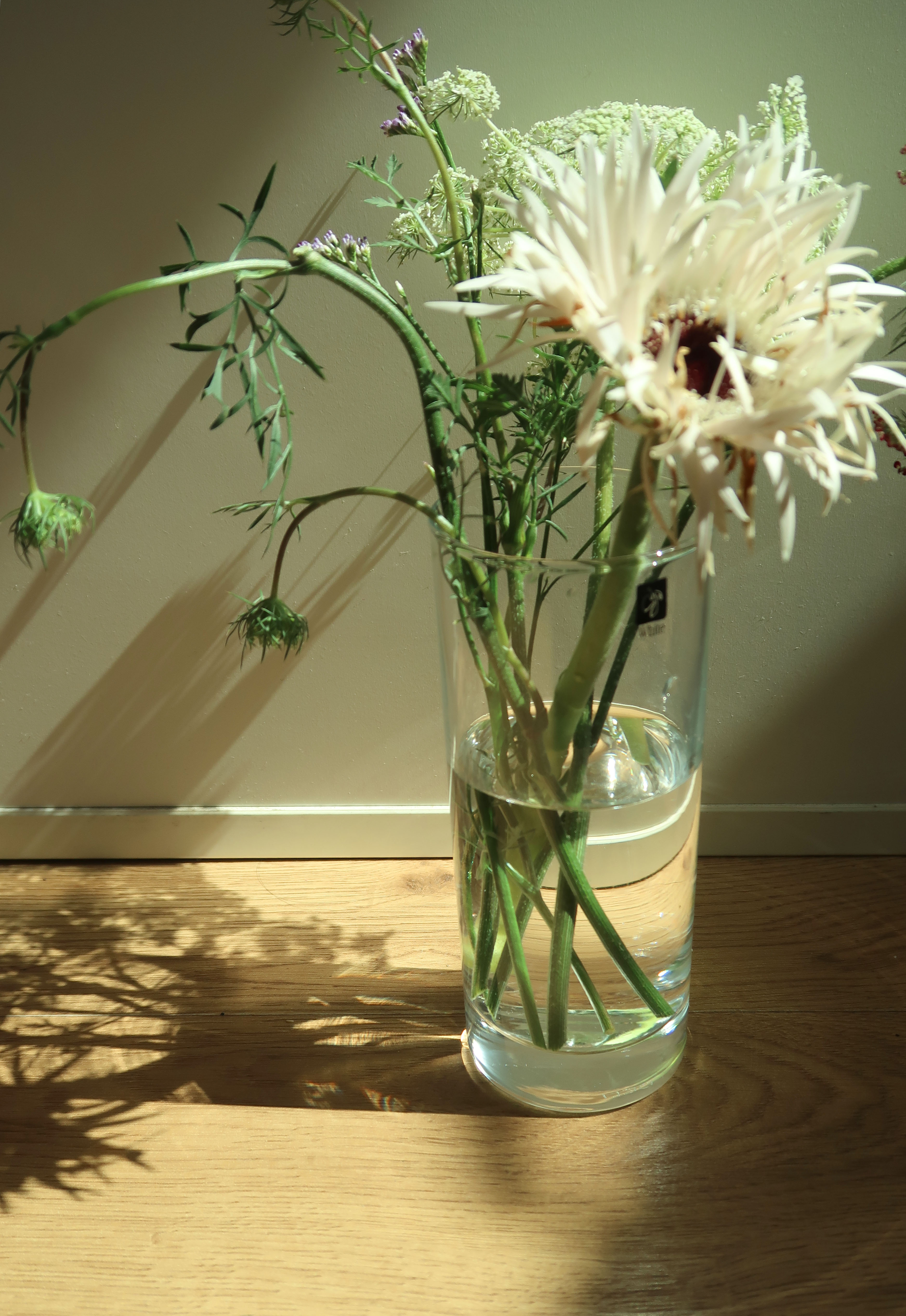6d920f7aeb543.jpg