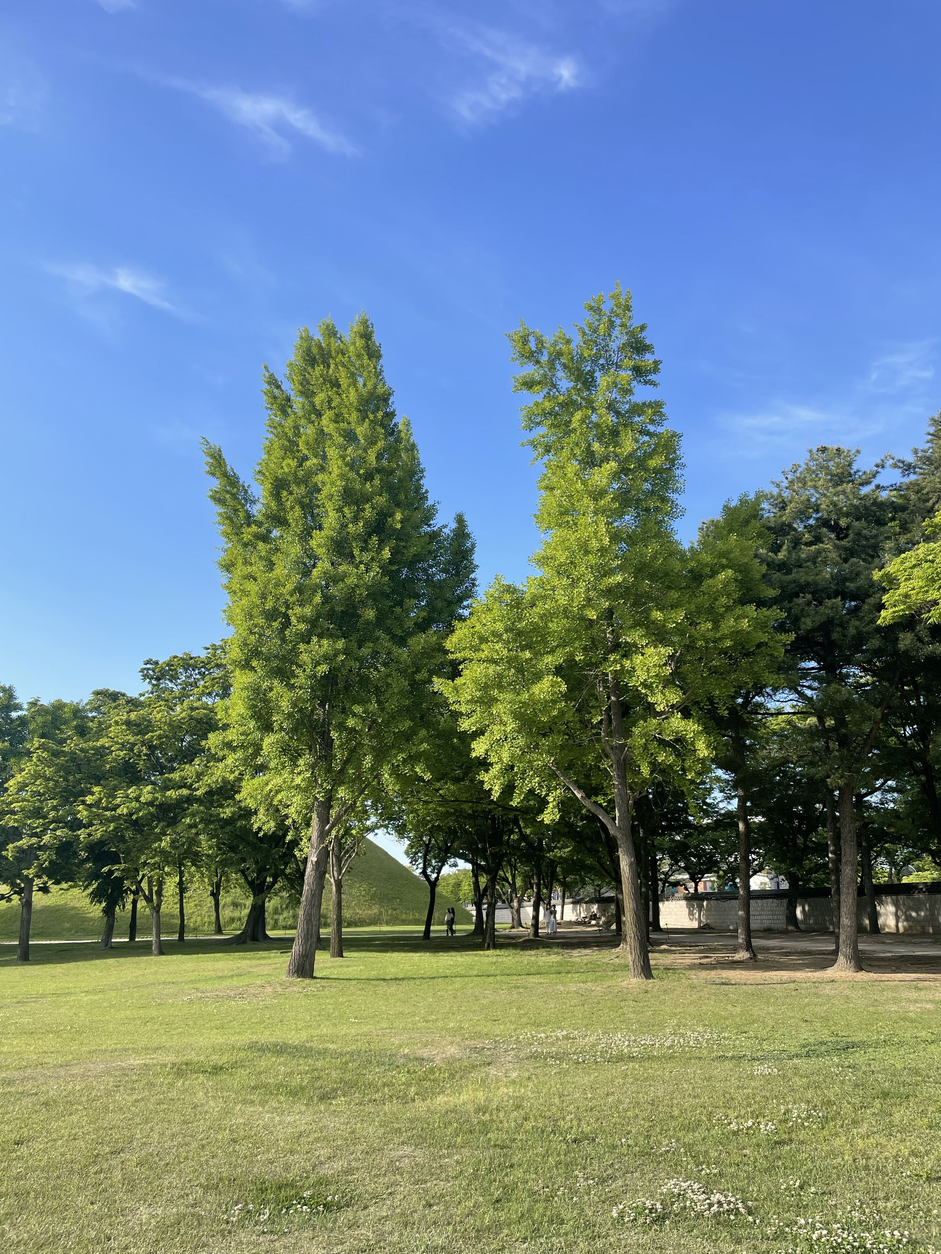 a883c59885d0f.jpg