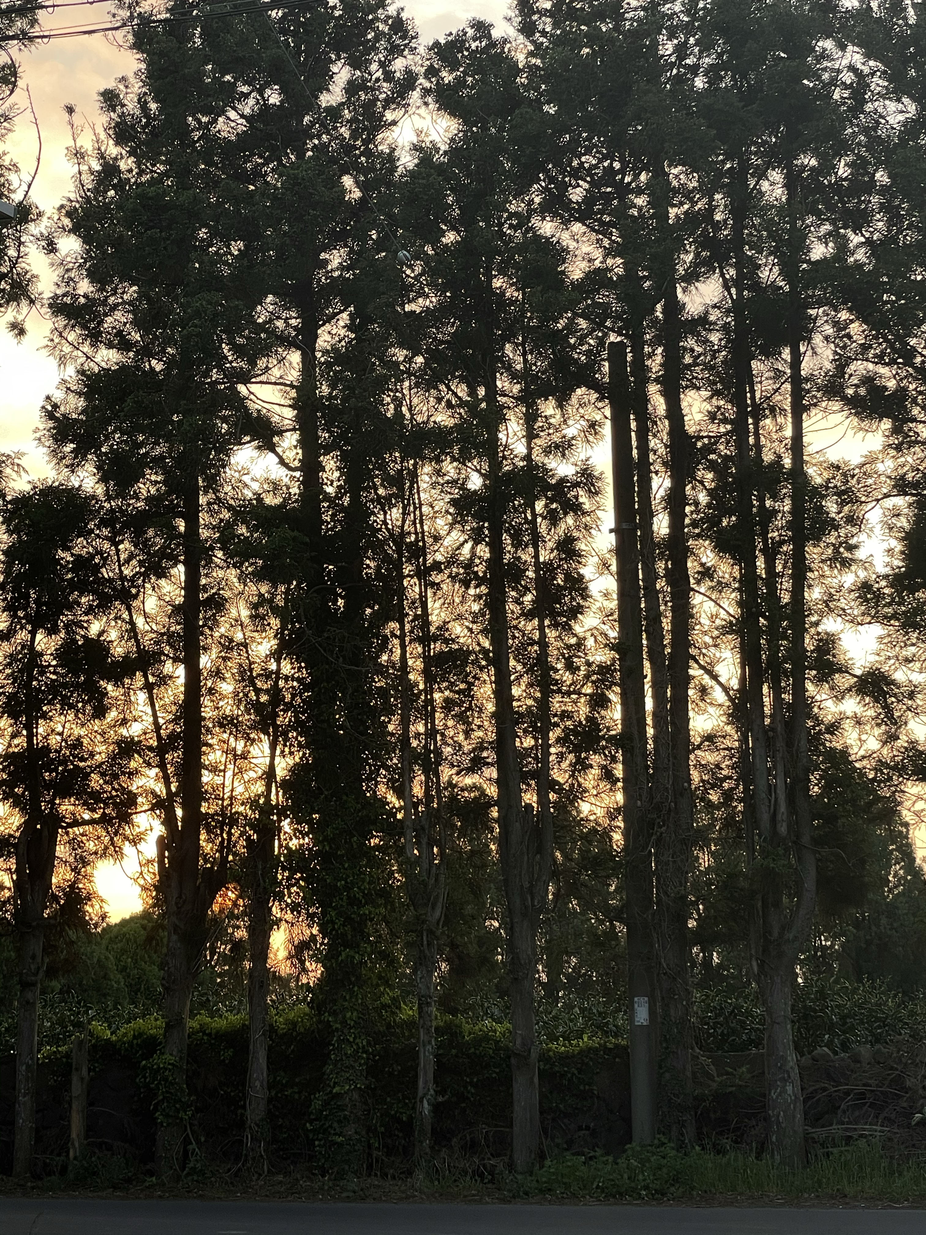 c7a60d8555998.jpg