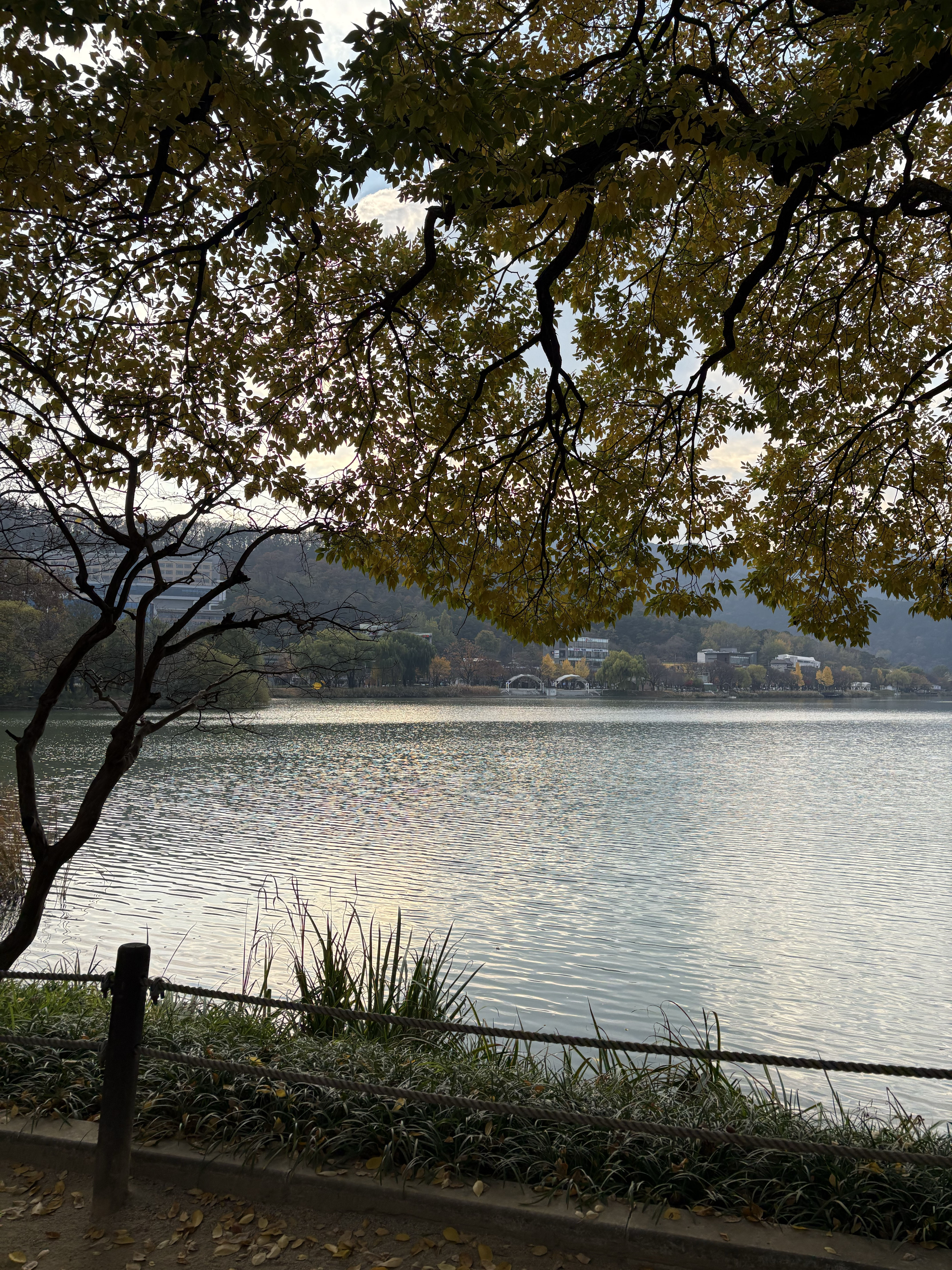 ef256b387f24b.jpg