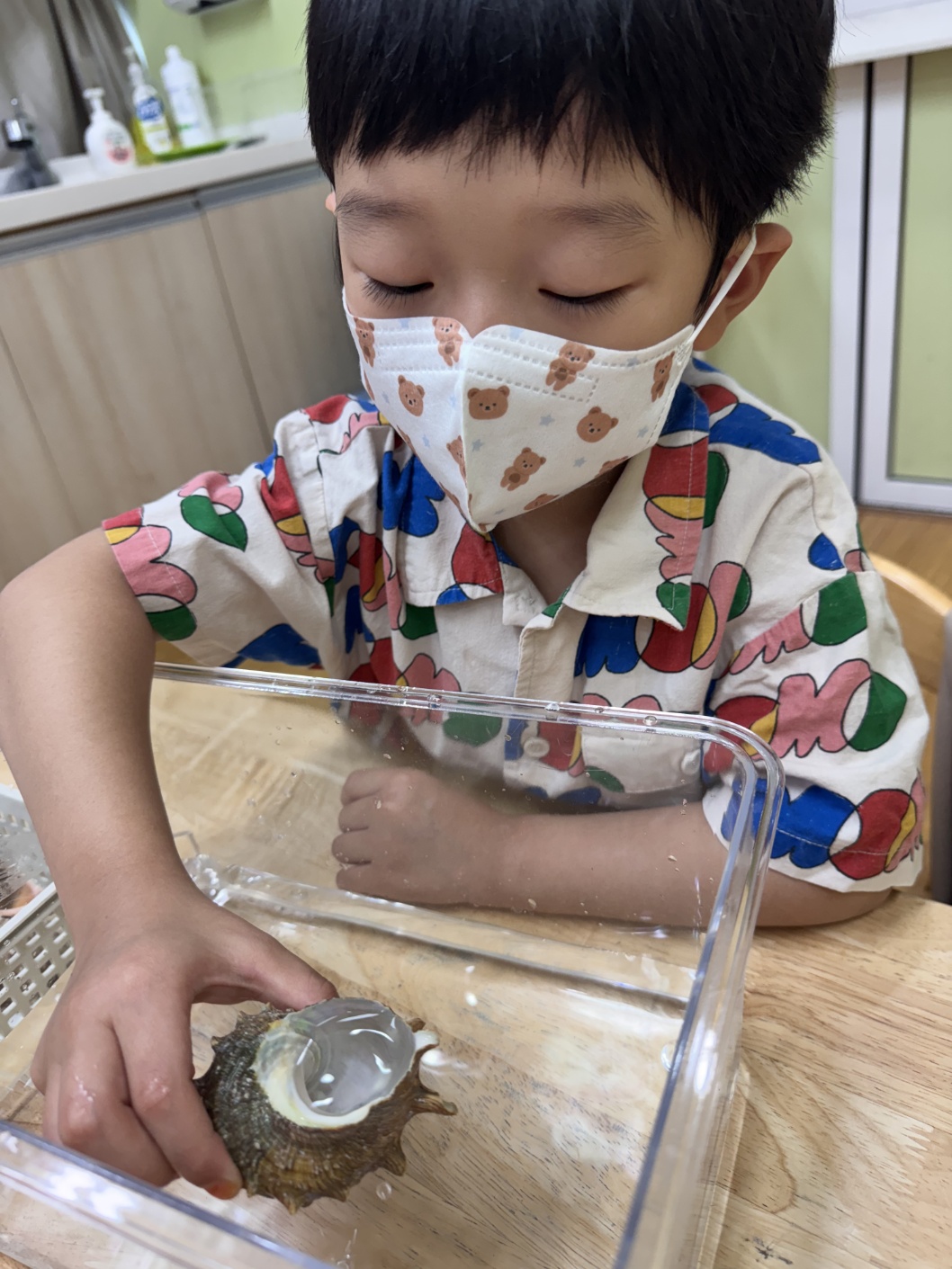 3398f634148f0.jpg