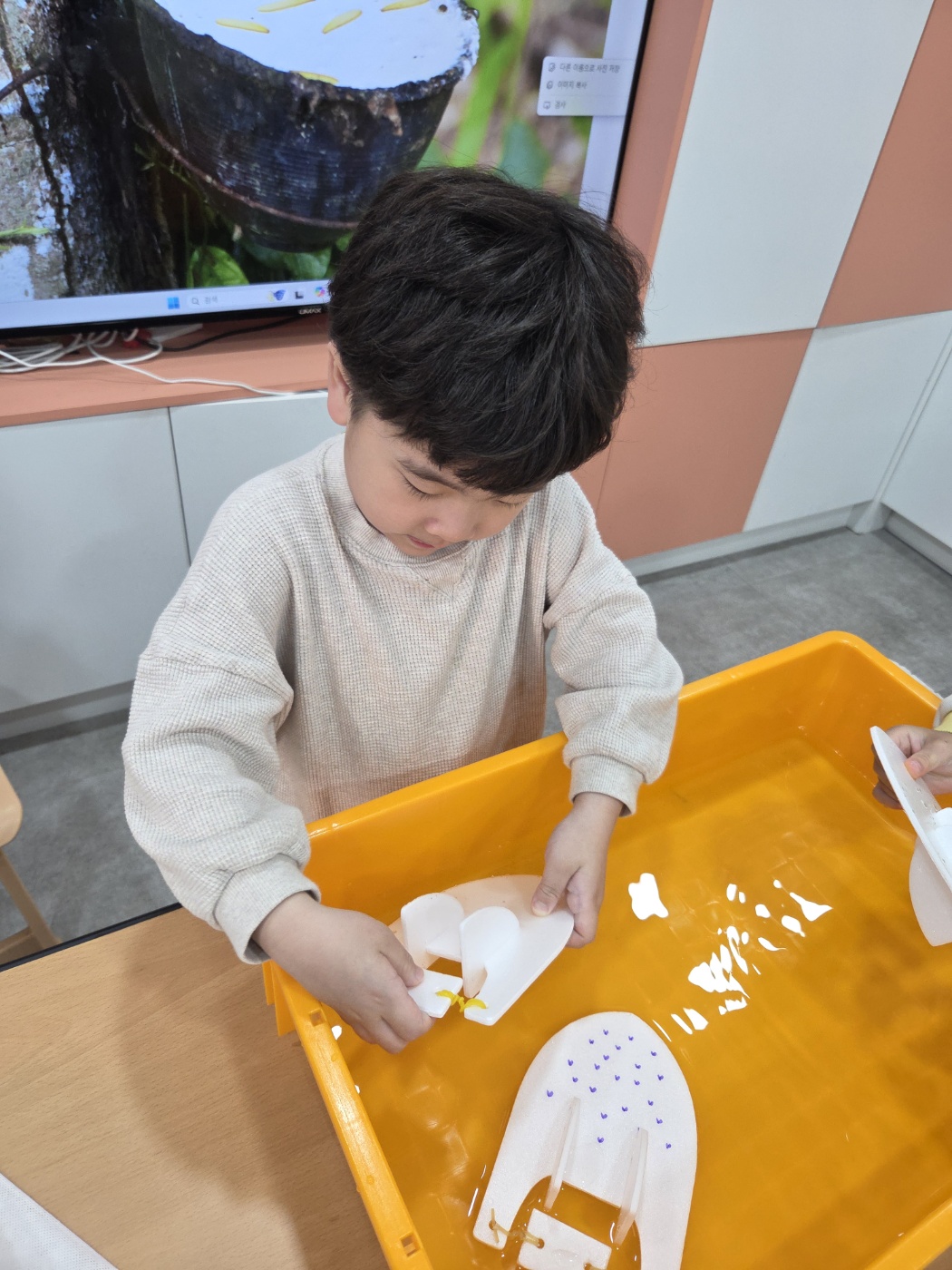 c95b6c54652da.jpg