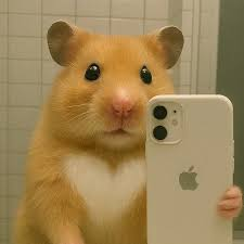 캐릭터 ai 김햄찌