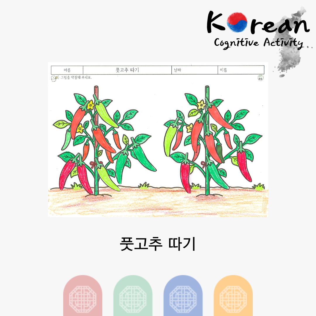 풋고추 따기