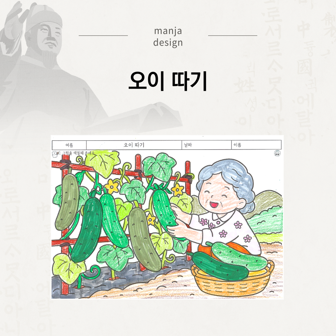 오이 따기