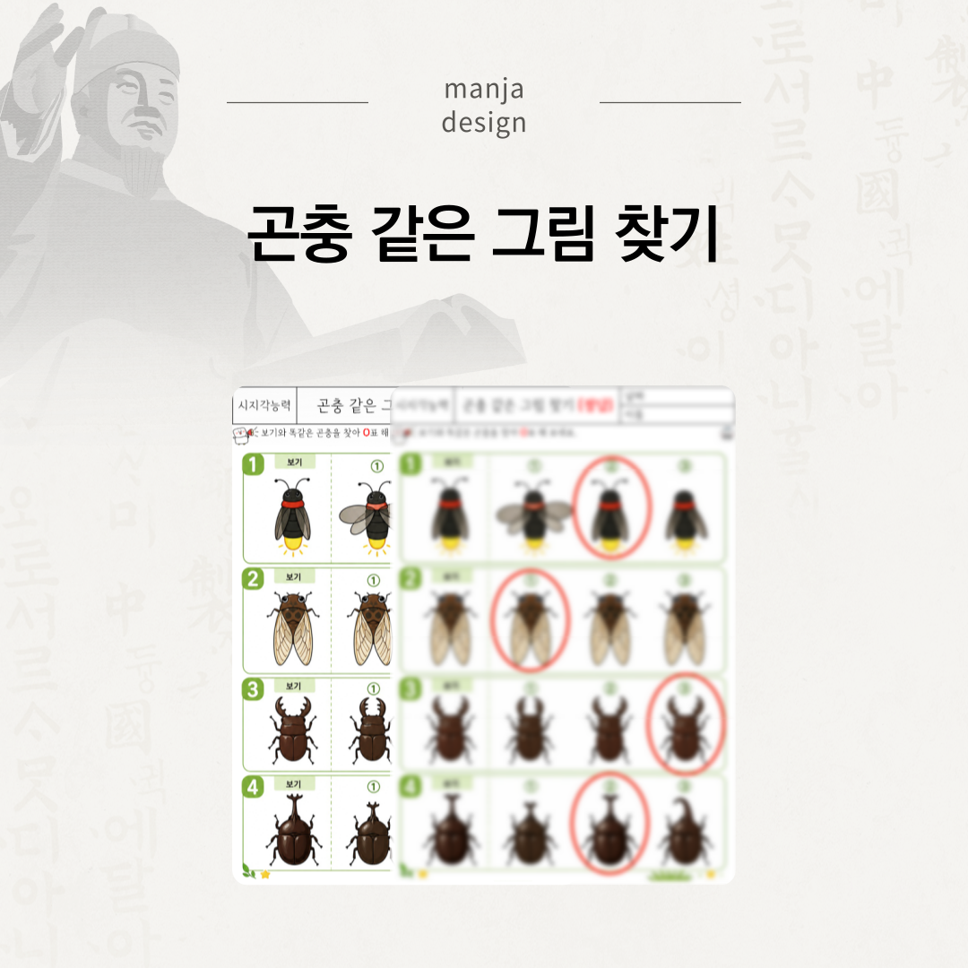 곤충 같은 그림 찾기