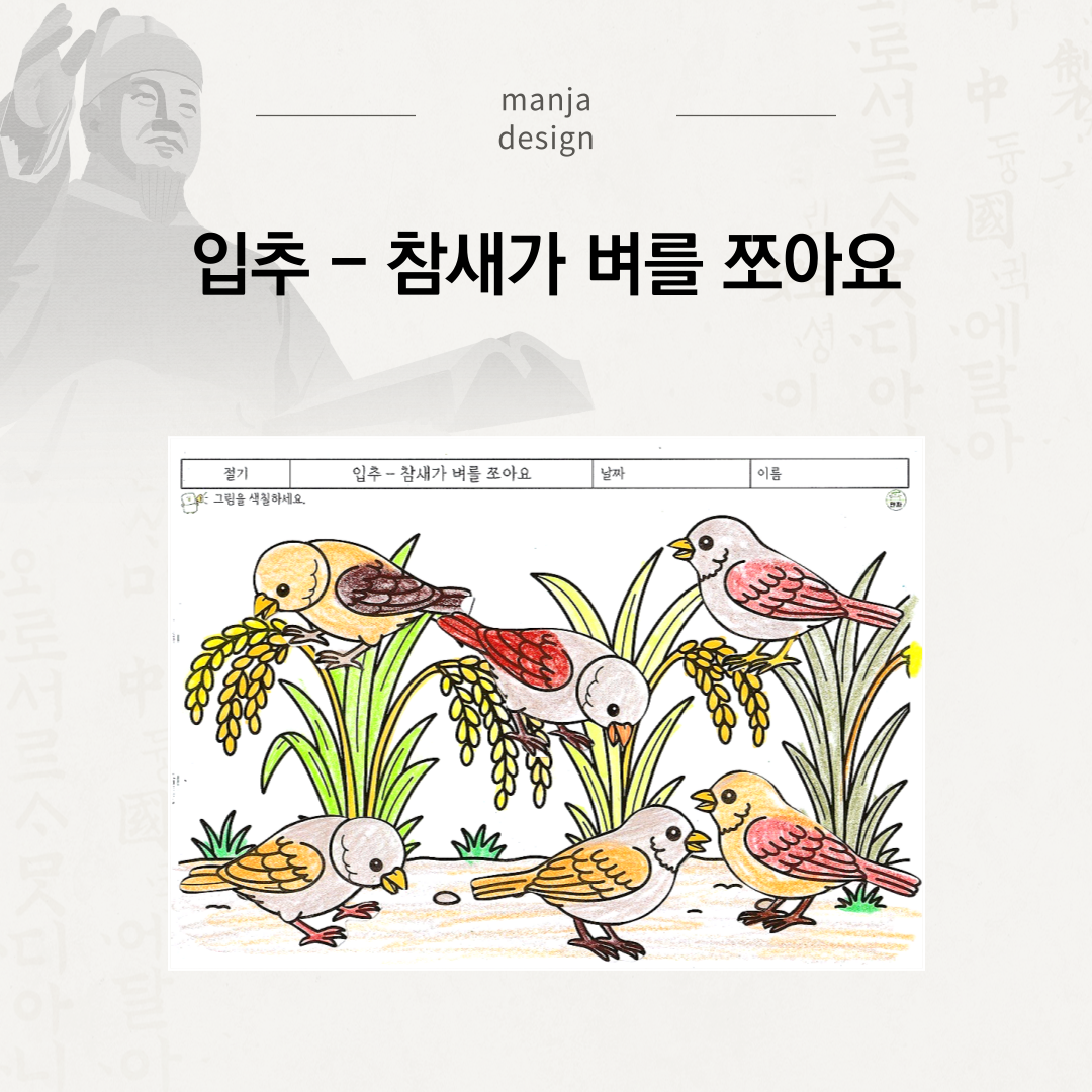 입추 - 참새가 벼를 쪼아요