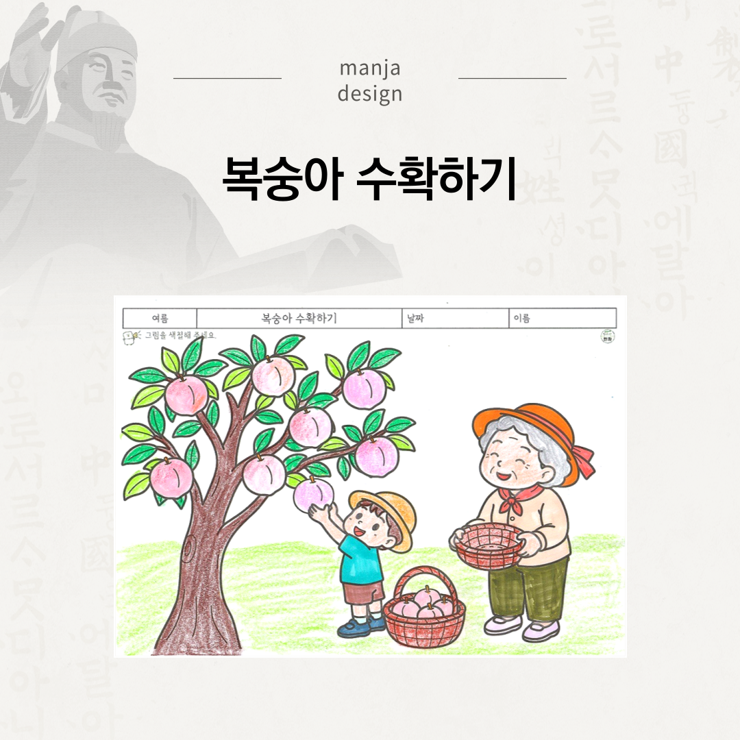 복숭아 수확하기