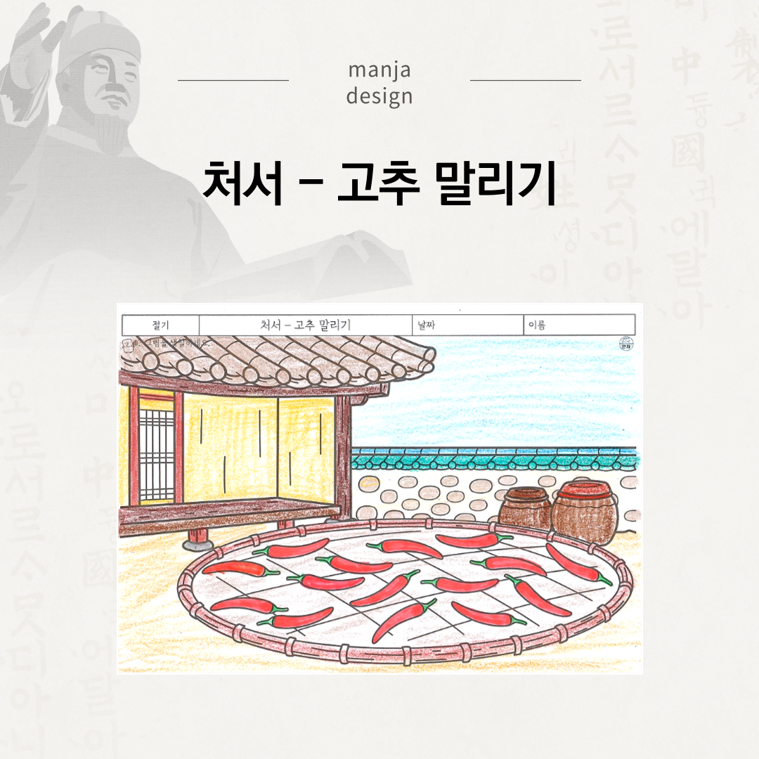 처서 - 고추 말리기
