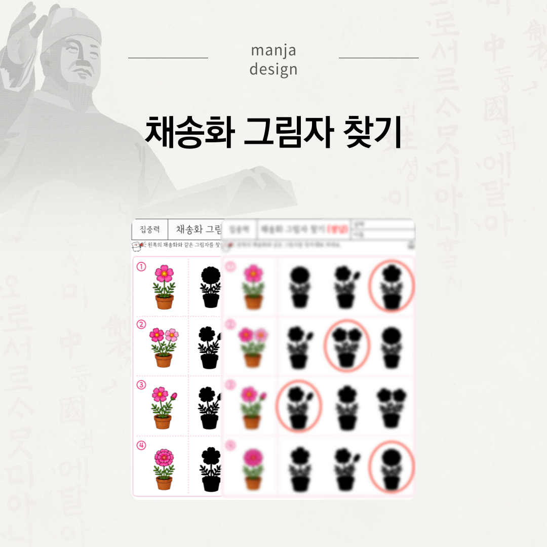 채송화 그림자 찾기