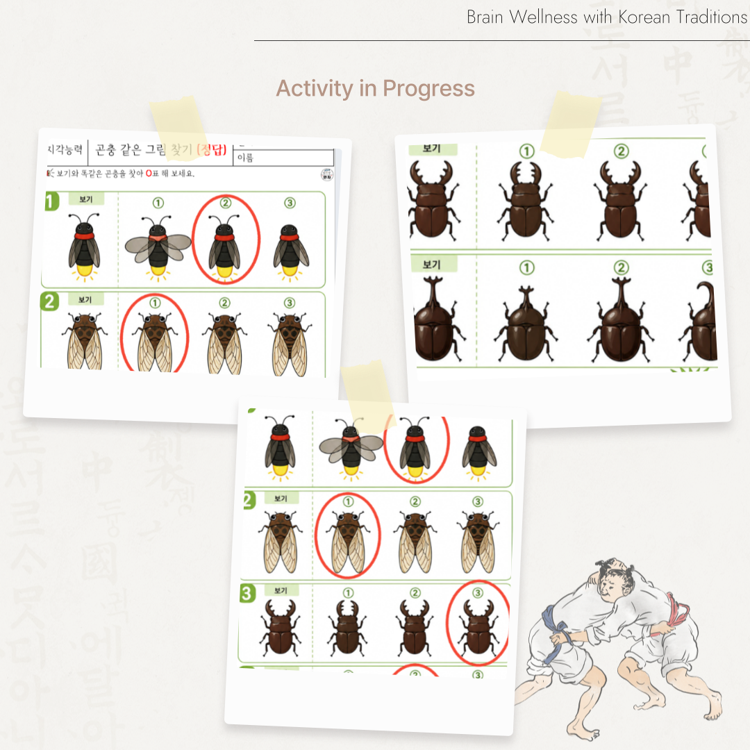 반딧불이, 매미, 사슴벌레 등 여러 곤충 그림을 자세히 살펴보고 보기와 똑같은 곤충을 찾아 동그라미 하는 어르신 시지각능력 활동지