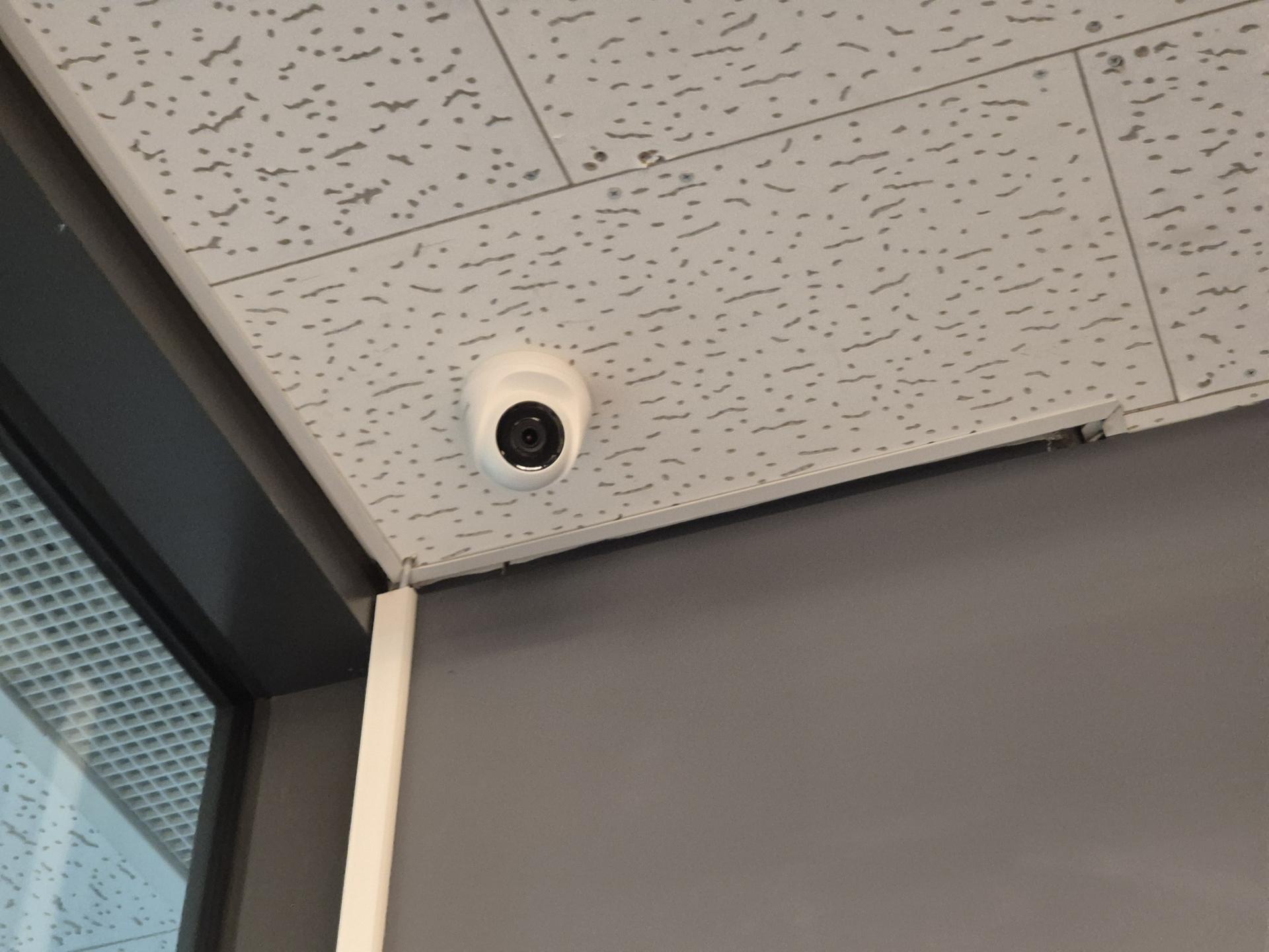 7e5ad28206171.jpg