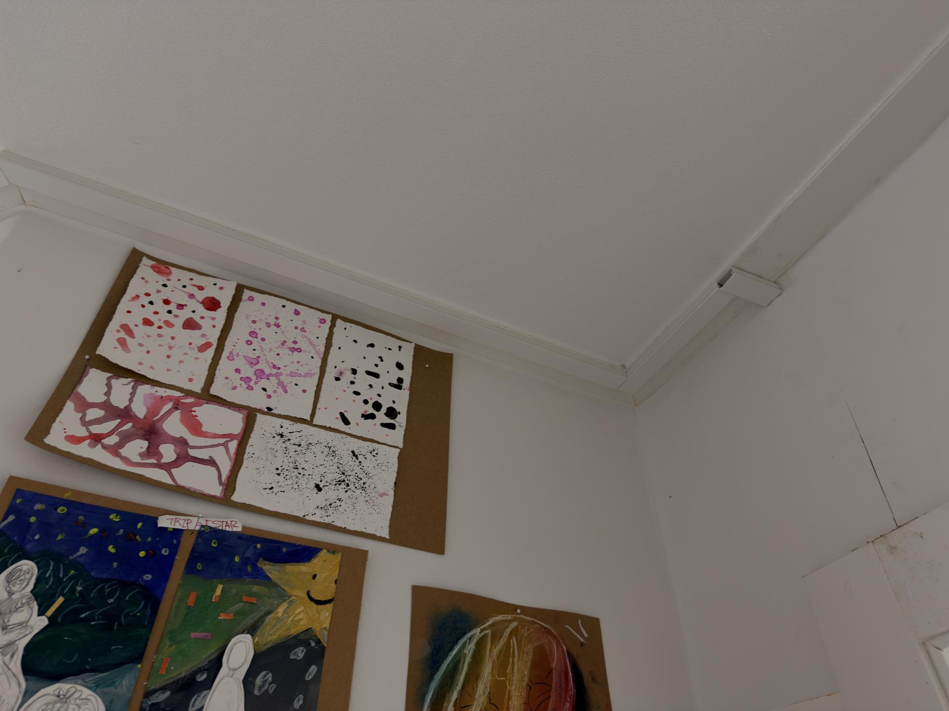 a50094e2a63ab.jpg
