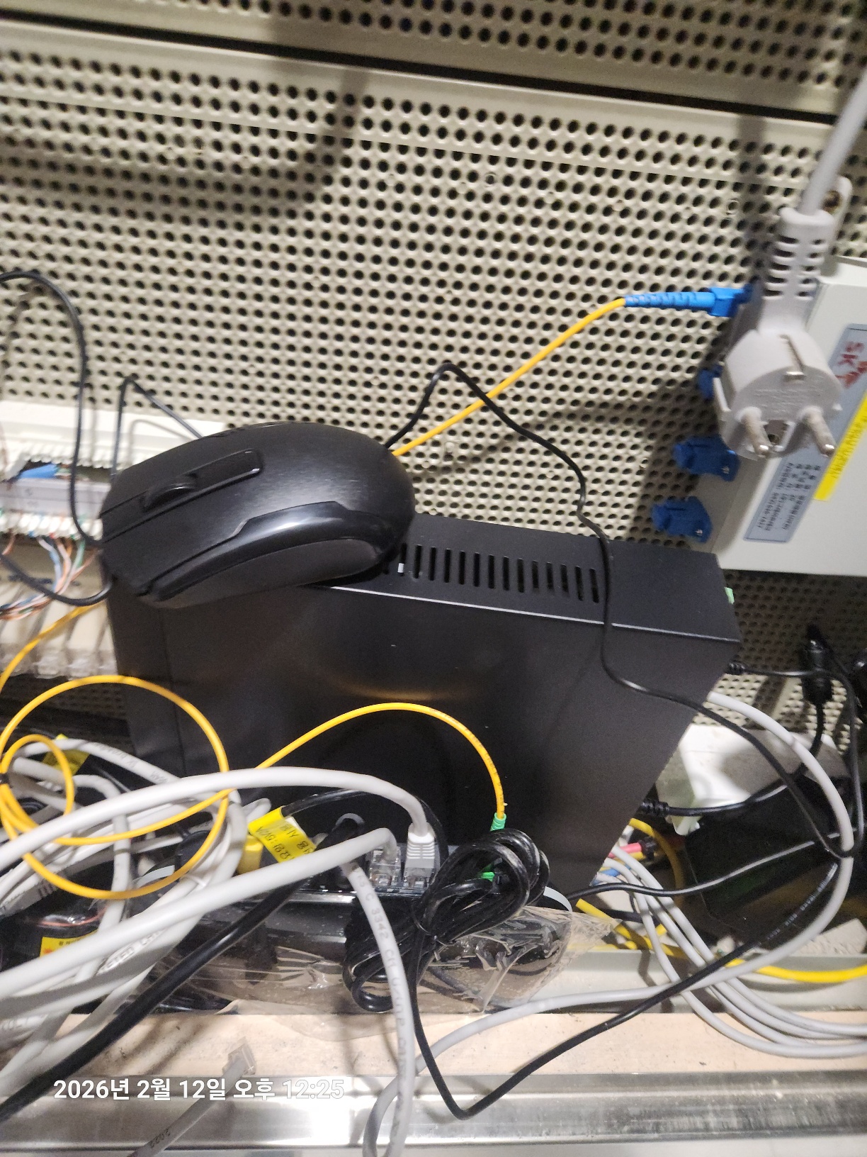 fe54df2445432.jpg