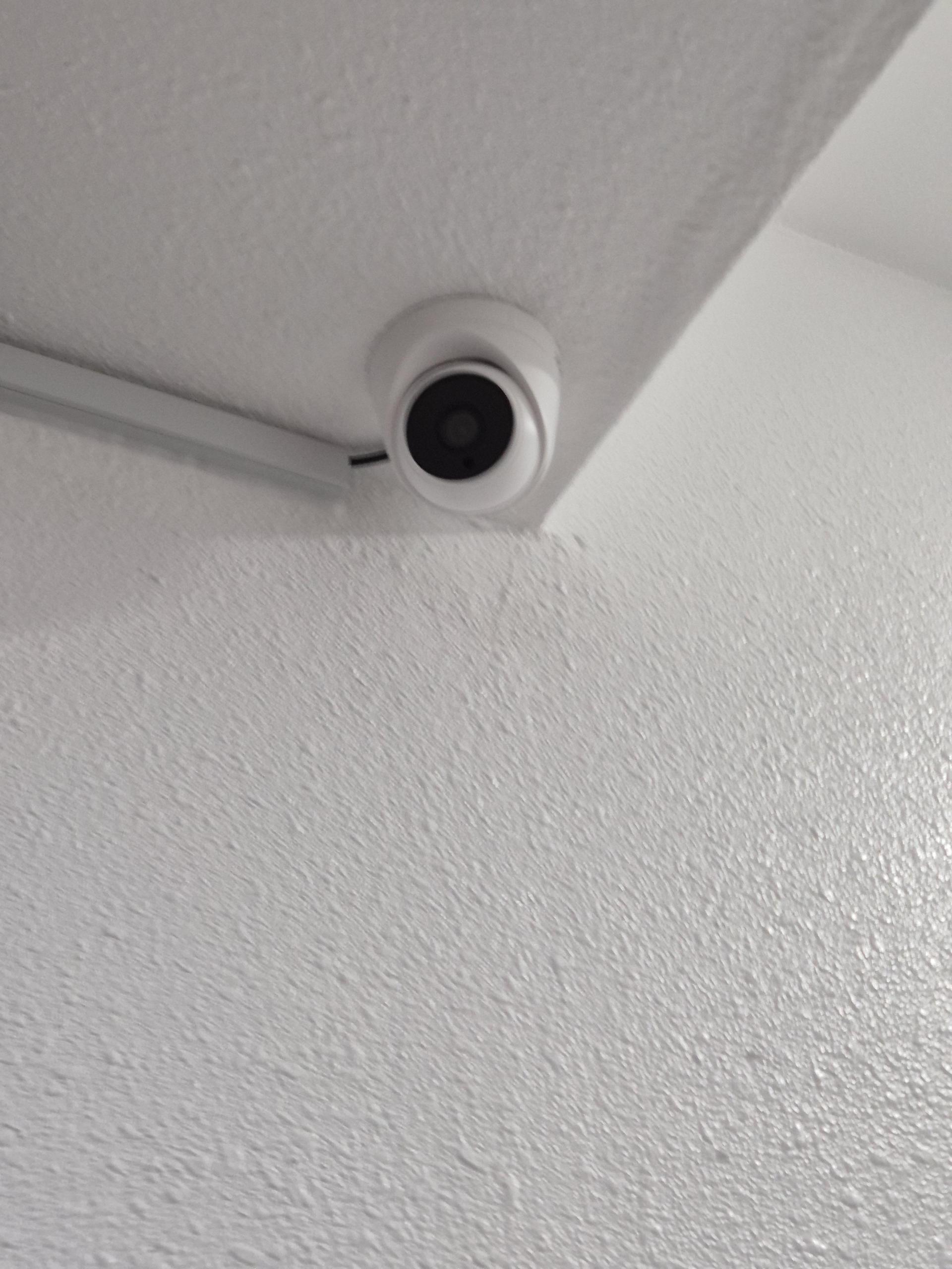 fffd4c531d07d.jpg