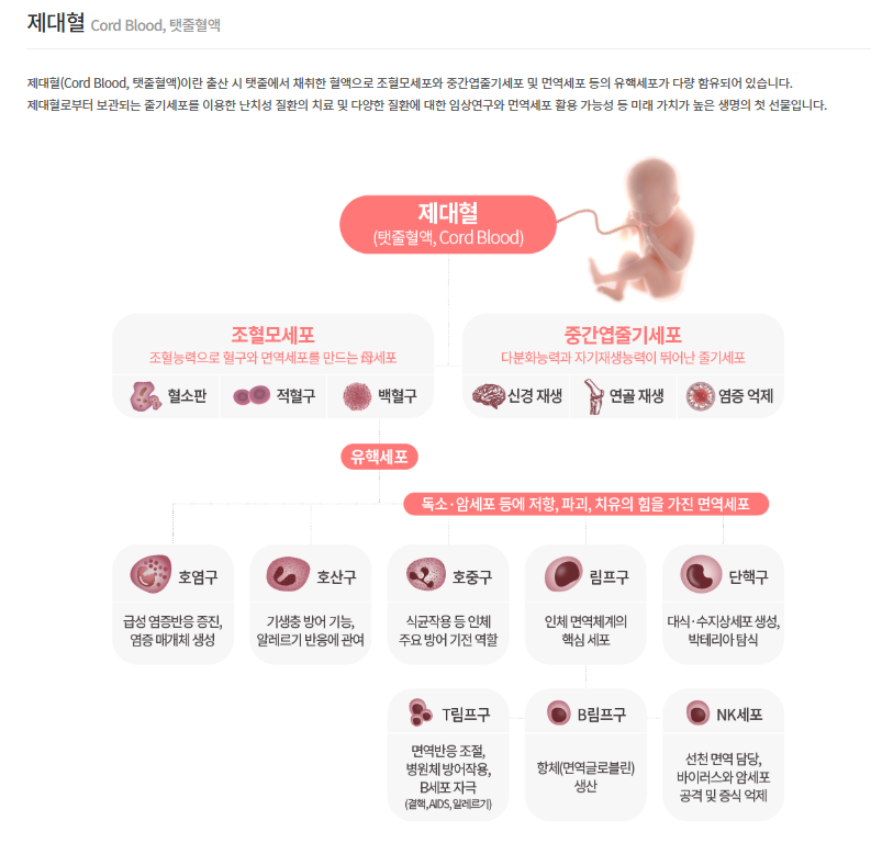 제대혈은행 아이코드.png