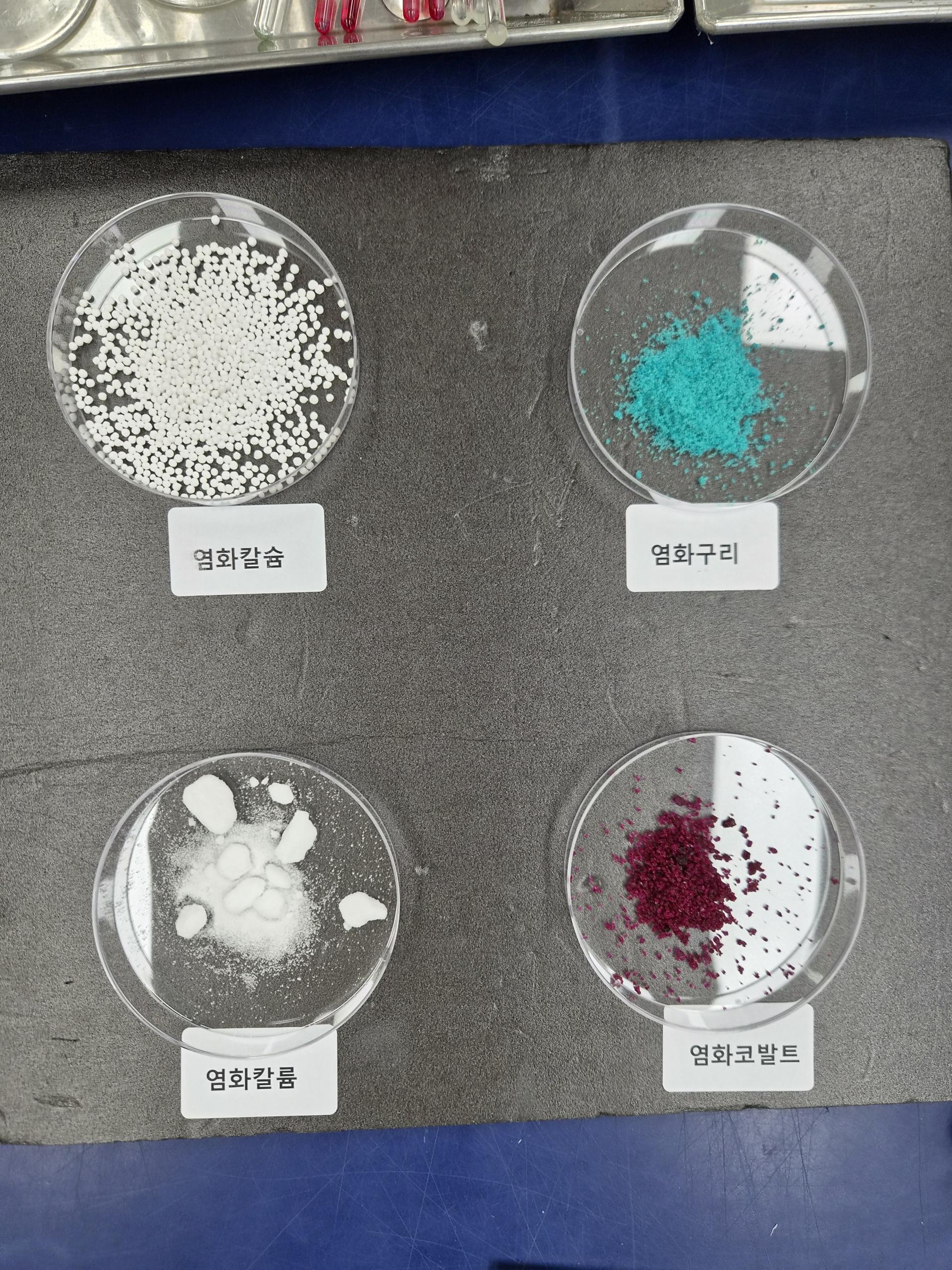 a6a44a949019e.jpeg