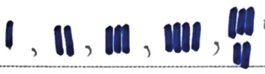 b8b6c69e8fb6a.png